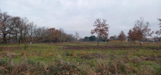 Terrain à bâtir à Montauban, Occitanie