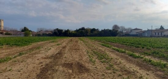 Terrain à bâtir à Canet, Occitanie