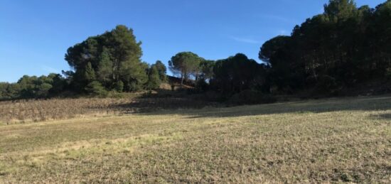 Terrain à bâtir à , Aude