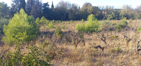 Terrain à bâtir à Argens-Minervois, Occitanie