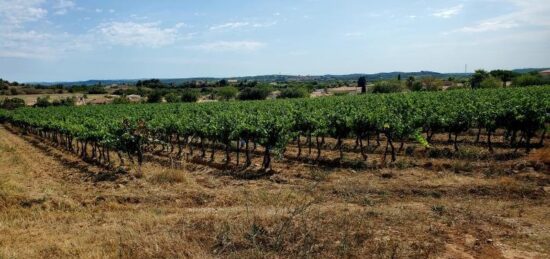 Terrain à bâtir à Nézignan-l'Évêque, Occitanie