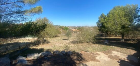 Terrain à bâtir à Lespignan, Occitanie