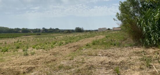 Terrain à bâtir à Servian, Occitanie