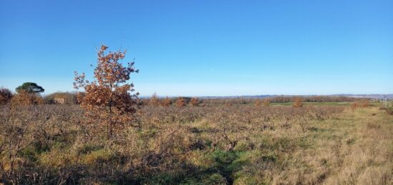 Terrain à bâtir à Técou, Occitanie