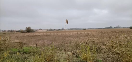 Terrain à bâtir à , Haute-Garonne