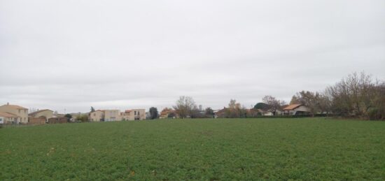 Terrain à bâtir à Gaillac, Occitanie