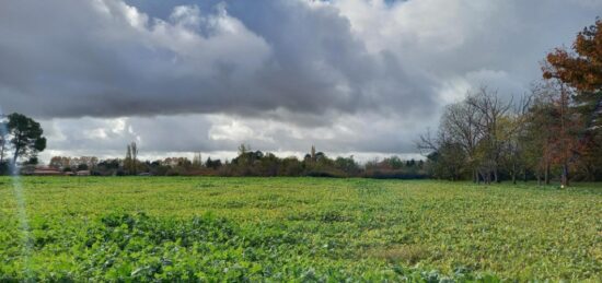 Terrain à bâtir à Gaillac, Occitanie