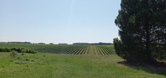 Terrain à bâtir à Técou, Occitanie