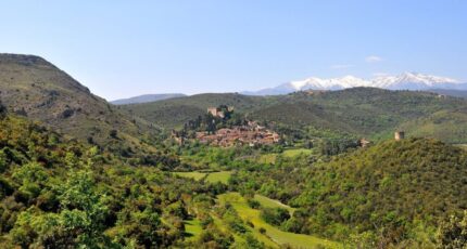 Castelnou Terrain à bâtir - 1969852-4183annonce120241007O5kUn.jpeg Oc Résidences