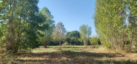 Terrain à bâtir à Mézens, Occitanie