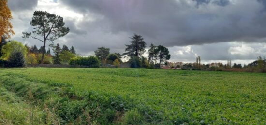 Terrain à bâtir à Gaillac, Occitanie