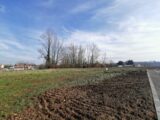 Maison à construire à Lisle-sur-Tarn (81310) 1987466-3177annonce120240704rnES0.jpeg Oc Résidences