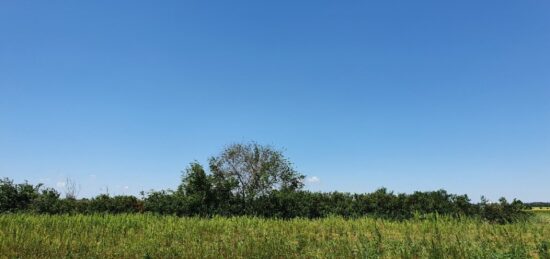 Terrain à bâtir à Alzonne, Occitanie