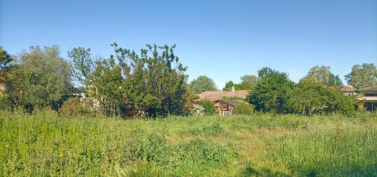 Terrain à bâtir à Plaisance-du-Touch, Occitanie