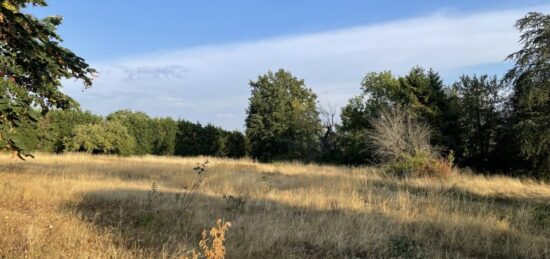 Terrain à bâtir à Mazamet, Occitanie