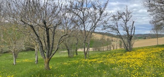 Terrain à bâtir à Le Cabanial, Occitanie