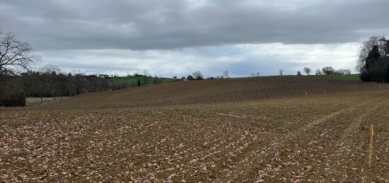 Terrain à bâtir à Verfeil, Occitanie