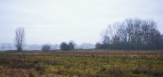 Terrain à bâtir à Viterbe, Occitanie