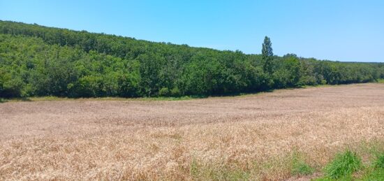 Terrain à bâtir à Montjoire, Occitanie