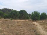 Terrain à bâtir à Marcorignan (11120) 1996871-9431annonce22024110852G89.jpeg Oc Résidences