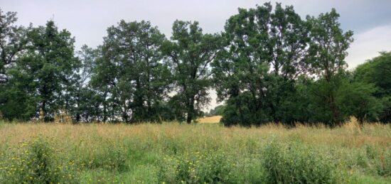 Terrain à bâtir à Lasgraisses, Occitanie