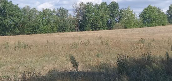 Terrain à bâtir à Puygouzon, Occitanie