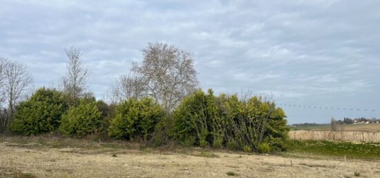 Terrain à bâtir à Quint-Fonsegrives, Occitanie